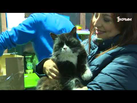 Видео: Деревенское счастье среди тюльпанов