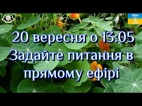 Видео: 20 вересня о 13:05 Поговоримо про "Цілющі властивості КРАСОЛІ"