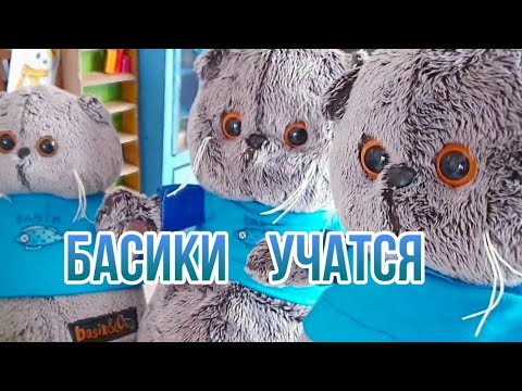 Видео: Басики учатся?| 1 ДЕНЬ БАСИКОВ В ШКОЛЕ