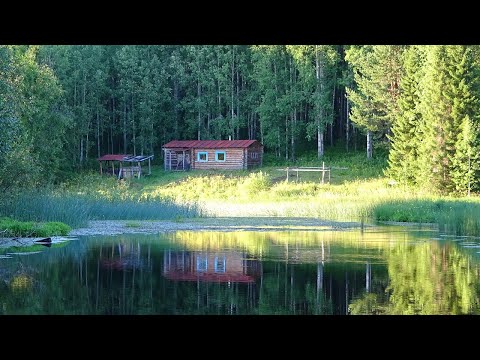 Видео: Путешествие на Ямозеро Ч8 Сплав по реке Ирва. Заброшенная деревня. Лесная изба. Рыбалка Один в тайге