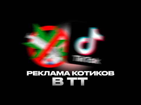 Видео: РЕКЛАМА КОТИКОВ В ТИК ТОКЕ