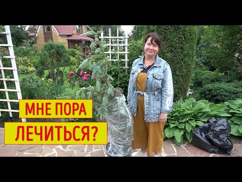Видео: САД НАИЗНАНКУ. Когда все показывают красивые картинки - я показываю все, как есть!