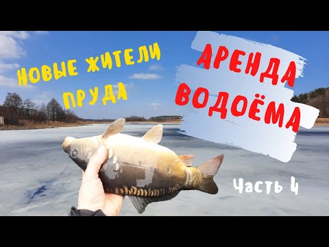 Видео: ЭКСТРЕННОЕ ЗАРЫБЛЕНИЕ | Весна | Благоустройство | Аренда водоема возле деревни Ковалевичи | часть 4
