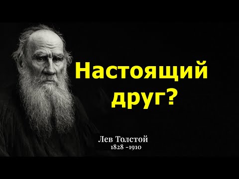 Видео: Толстой предупреждал: 7 признаков фальшивого друга”