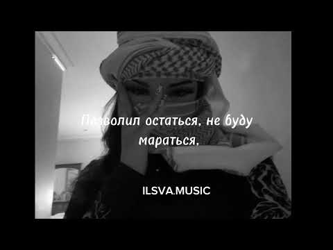 Видео: Magistrali - TARA202 🎶 (Текст песни) @магистрали @TARA202 @Lirics