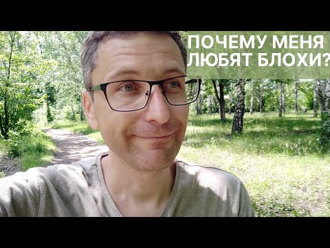 Видео: Народные средства против блох не действуют!? Чем я обрабатывал съемную квартиру от блох (история)