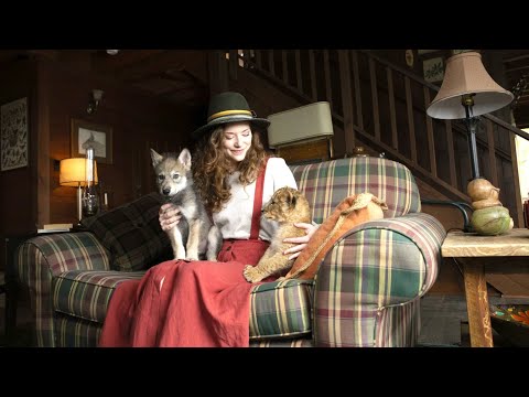 Видео: Охин гүег, бэлтрэг хоёрыг гэртээ өсгөхөөр шийднэ.