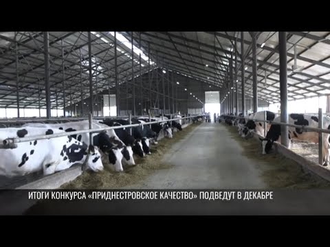 Видео: «Приднестровское качество»: новые технологии на ферме «Благоды»