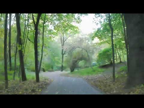 Видео: Парк Останкино