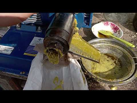 Видео: Соєва олія холодного віджиму. МП-50 "Маслятко" . ТехноМашСтрой