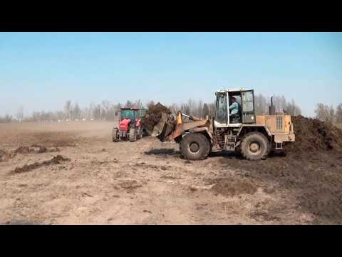 Видео: МТЗ 1222 с разбрасывателем МТУ-18 вносит органику