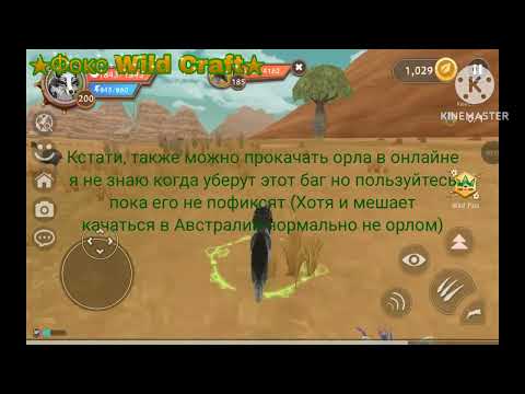 Видео: Совет по прокачке 2! + Баг на паука в Вилд Крафт!