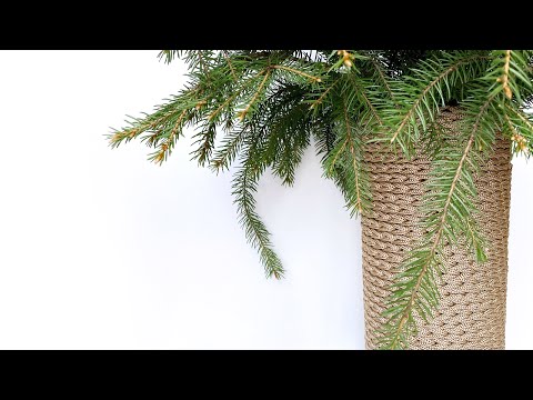 Видео: Ваза крючком: как обвязать вазу крючком