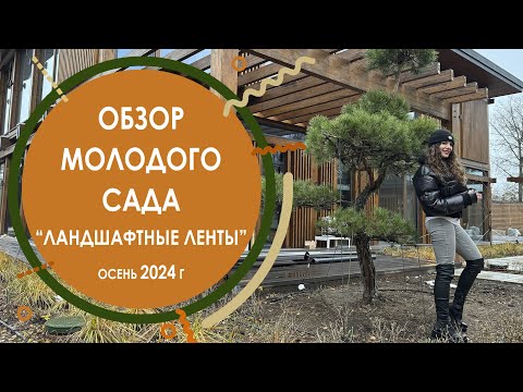 Видео: Обзор молодого сада "Ландшафтные ленты" - осень 2024 г