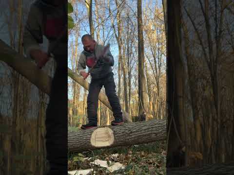 Видео: 2 ноября 2025 г.