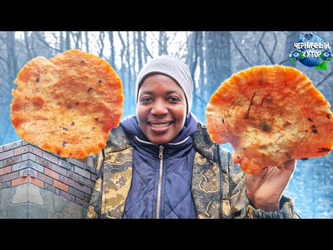 Видео: Жизнь на лесном хуторе. В ноябре грибов больше,чем летом! Жульен из белых грибов. Каменный цоколь