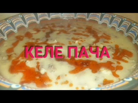 Видео: КЕЛЕ ПАЧА