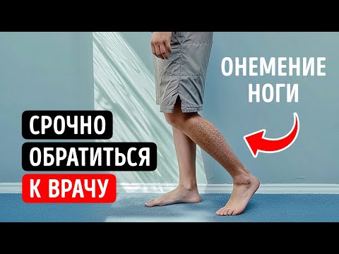 Видео: 100+ случайных фактов, которые заслуживают поднятых бровей