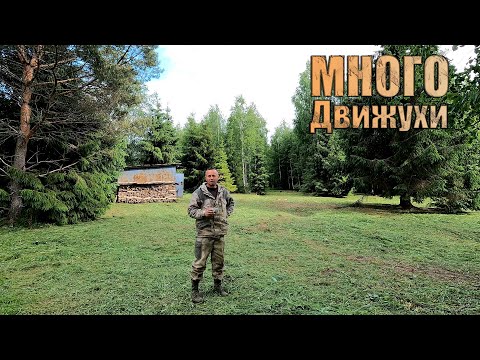 Видео: ВЫКОПАЛ МЕДНЫХ ПОРОСЯТ! ЗОЛОТО! Полевой металлокоп / Поехал В ДЕРЕВНЮ \ Заехал В СЕРВИС!