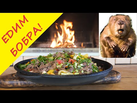 Видео: Жаркое из бобра! Оригинальный пошаговый рецепт приготовления вкуснейшего блюда из бобрятины.
