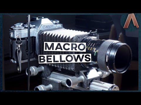 Видео: ЭКСТРЕМАЛЬНАЯ макросъемка на 35-мм пленку