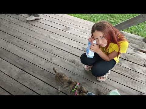 Видео: Ока туринг 2024 г. ч.24