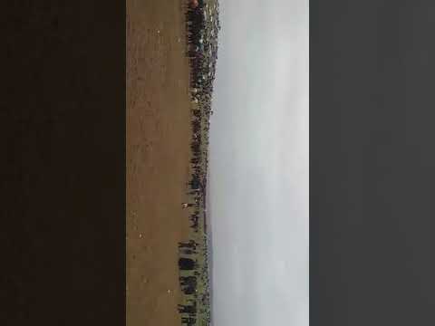 Видео: Купкари. Жасур полвон. 👍👍👍🏇🏇🏇🏇