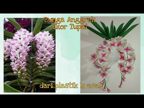 Видео: Как сделать цветы орхидеи (Rhynchostylis Gigantea) из полиэтиленовых пакетов