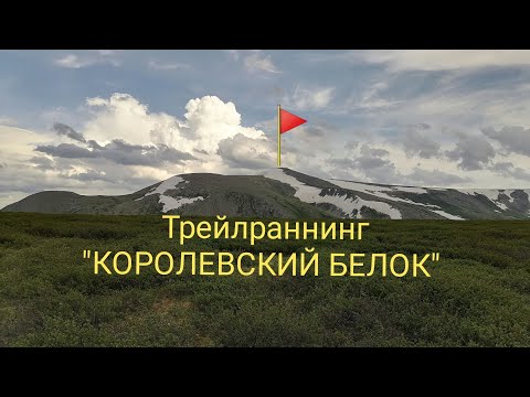 Видео: Трейлраннинг Королевский Белок