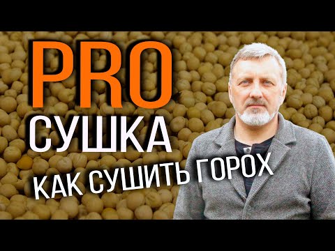Видео: Как сушить горох | ProСушка | Элеваторист