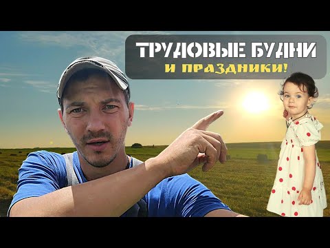 Видео: Доработка колодца I Убираем сено I Ловим пчёл I Отмечаем праздники