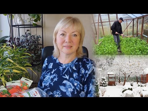 Видео: Vlog Первый снег и Первые посевы.Семена томатов - выбираю урожайные. Дачные дела