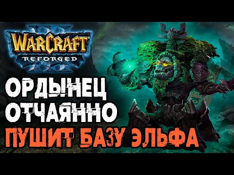 Видео: ОРДЫНЕЦ ОТЧАЯННО ПУШИТ БАЗУ ЭЛЬФА: Franzyzz (Orc) vs Soyma (Ne) Warcraft 3 Reforged