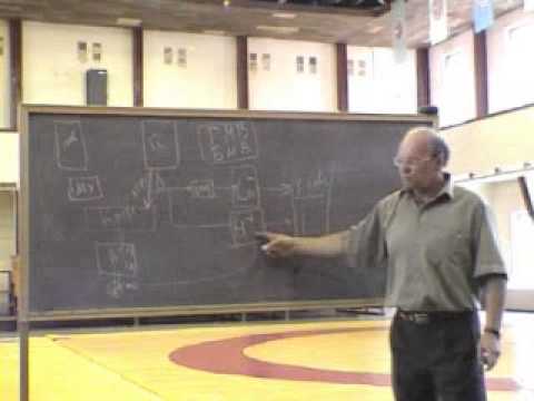 Видео: ч1 #Биохимические основы энергообеспечения #мышечной деятельности, #физиология САМБО Селуянов лекция