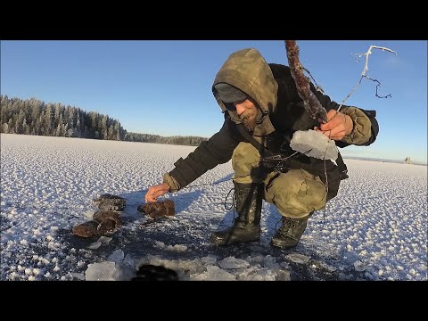 Видео: Проверка самоловак Рыбалка Первый лёд