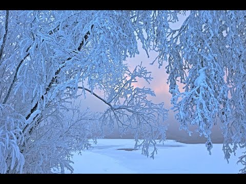 Видео: Аркадий Кобяков - Белым снегом