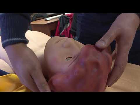 Видео: Электр зымдарынын  коопсуздугу. Таң маанай