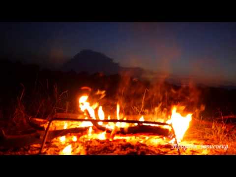 Видео: ДРОВА ГОРЯТ - Треск Огня на Природе | СЛУШАЕМ Звуки Природы и ЗВУК ОГНЯ  🎧 🔥