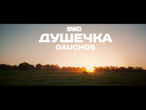 Видео: Баллада о бескрайнем духе | Душечка | rework: PROfan
