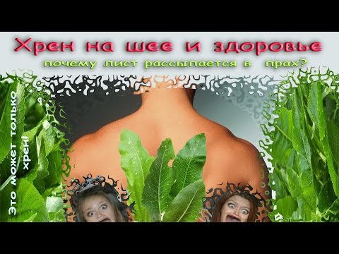 Видео: Хрен на шее и здоровье. Почему лист рассыпается в прах. Это может только хрен
