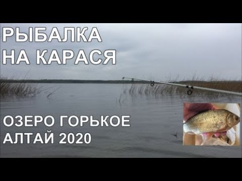 Видео: РЫБАЛКА на КАРАСЯ озеро ГОРЬКОЕ Тюменцевский район АЛТАЙ 01.05.2020 Барнаул Открываем сезон