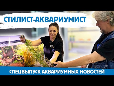 Видео: Аквариумные новости [Спецвыпуск]. Стилист-аквариумист.