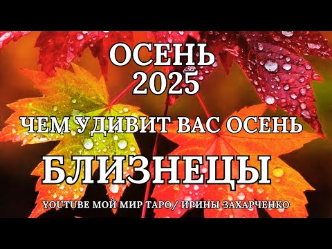 Видео: БЛИЗНЕЦЫ ♊❤️ОСЕНЬ 2025 🍂ЧЕМ УДИВИТ ВАС ОСЕНЬ🍁Таро прогноз для Близнецов/Tarot forecast for Gemini. 