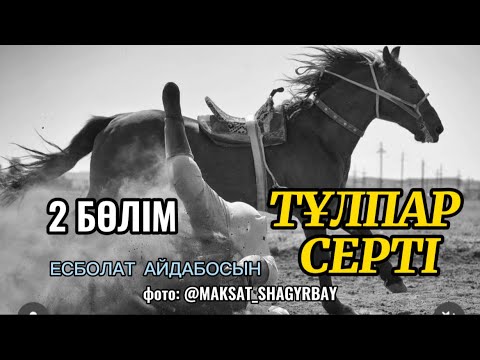 Видео: Ракета. ТҰЛПАР СЕРТІ. 2 бөлім #аудиокітап