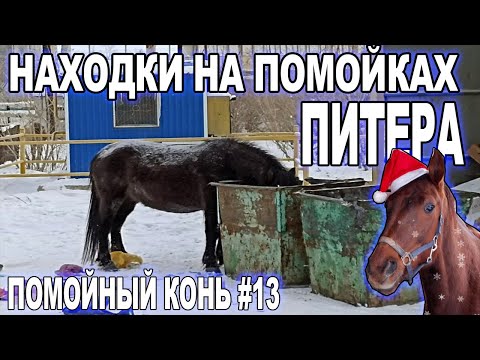 Видео: Что можно найти на Питерских помойках? \ Как заработать на мусорных баках?