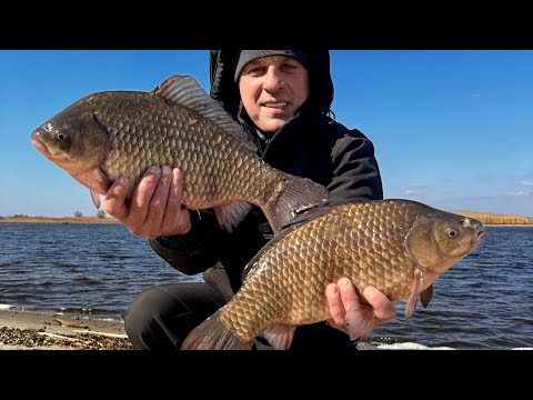Видео: Карасі по 2 кг! Краща рибалка на кормачки за все моє життя!