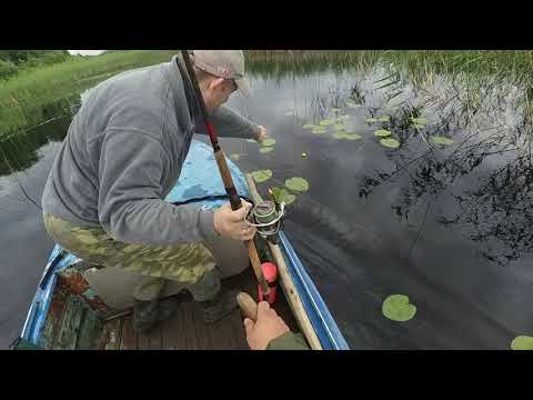 Видео: Озеро Цевло! Рыбалка на спиннинг !