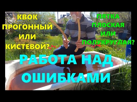 Видео: КВОК ПРОГОННЫЙ или  КИСТЕВОЙ \ Уроки над ошибками \#квок #сом #сомнаквок