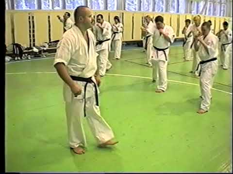 Видео: 2005 Онищенко А  -  Kumite Nyumon