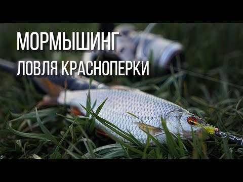 Видео: Мормышинг ловля красноперки